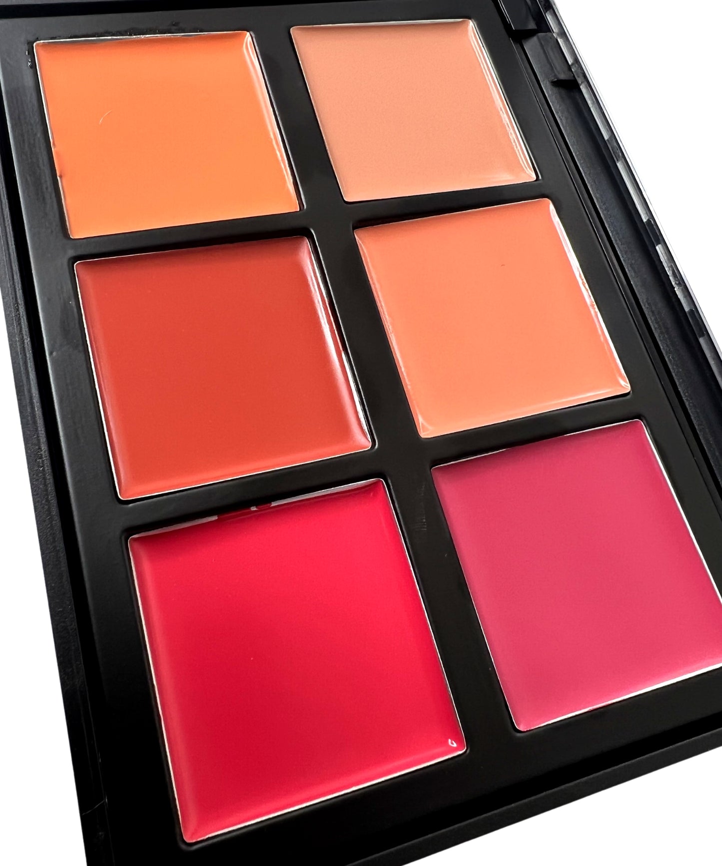 6 COLOR CREME BLUSH PALETTE 6CBL