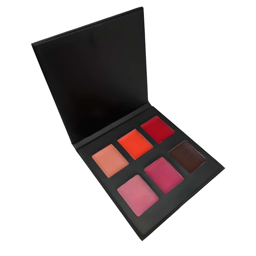 6 COLOR PRO LIP PALETTE 6LP