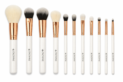 10 PC PRO BRUSH SET CWG11