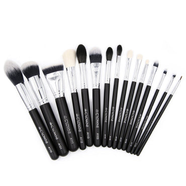 CROWN PRO APPRENTICE KIT