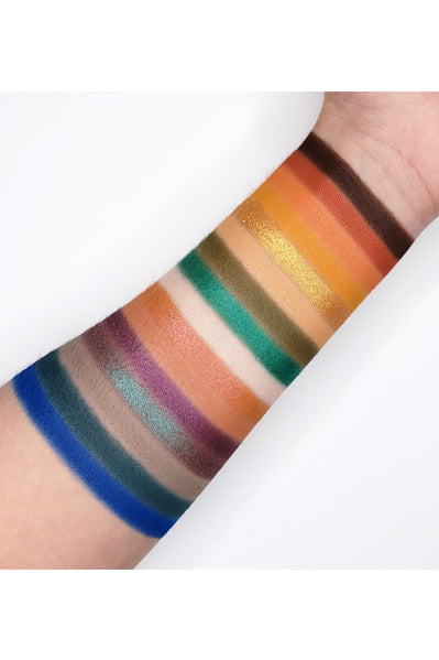 16 Color Chroma Eyeshadow Collection CL01