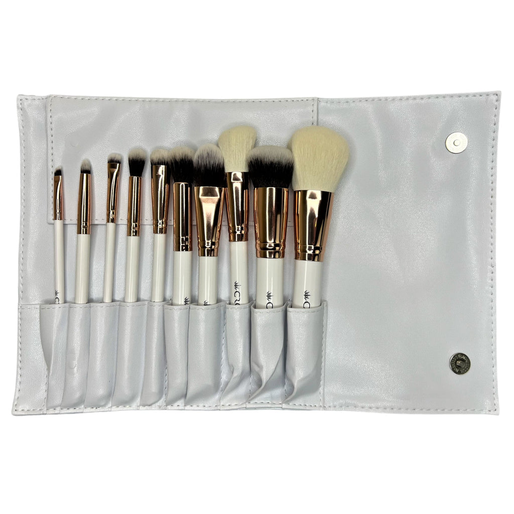 10PC PRO BRUSH SET